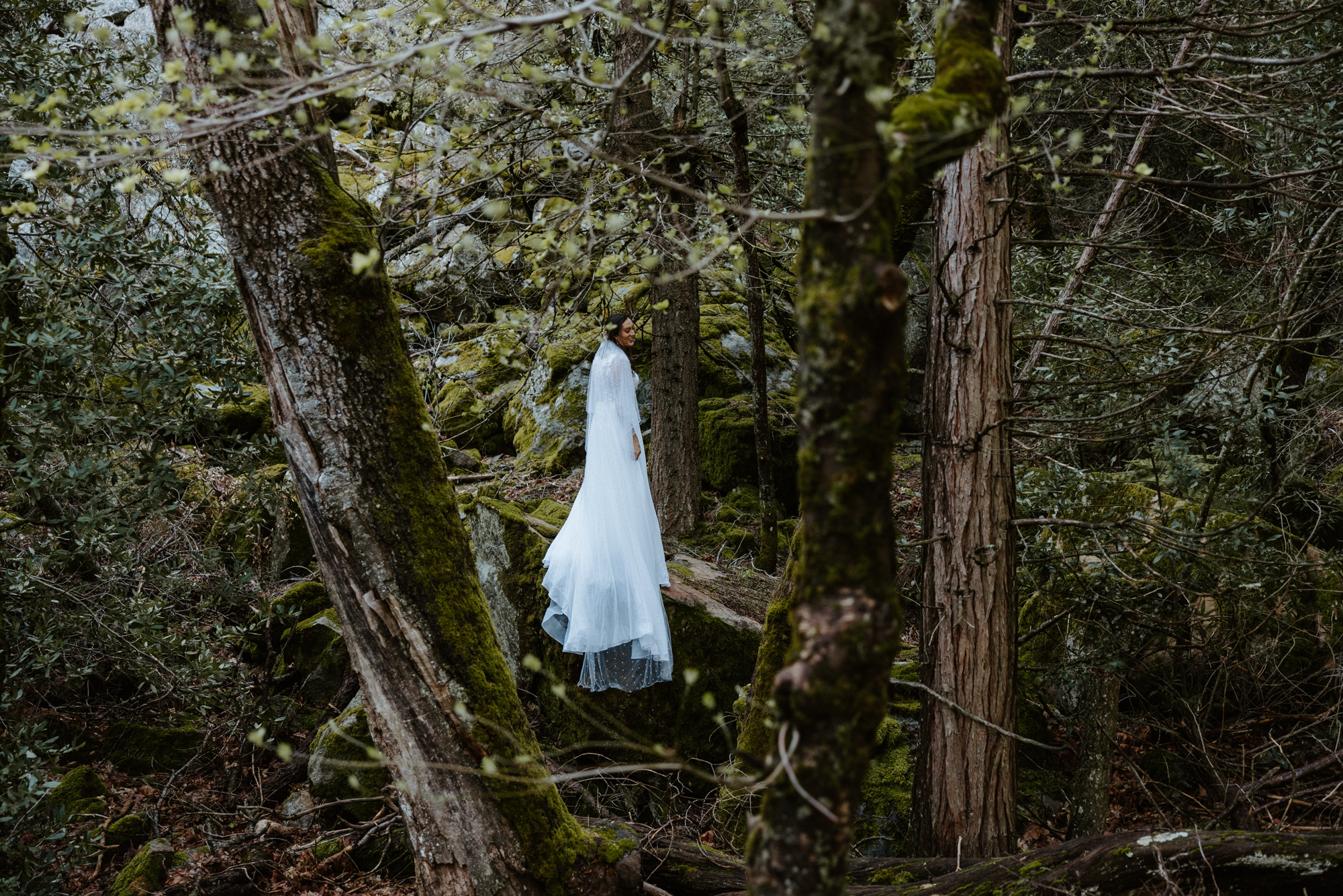 Elopement in the forrest