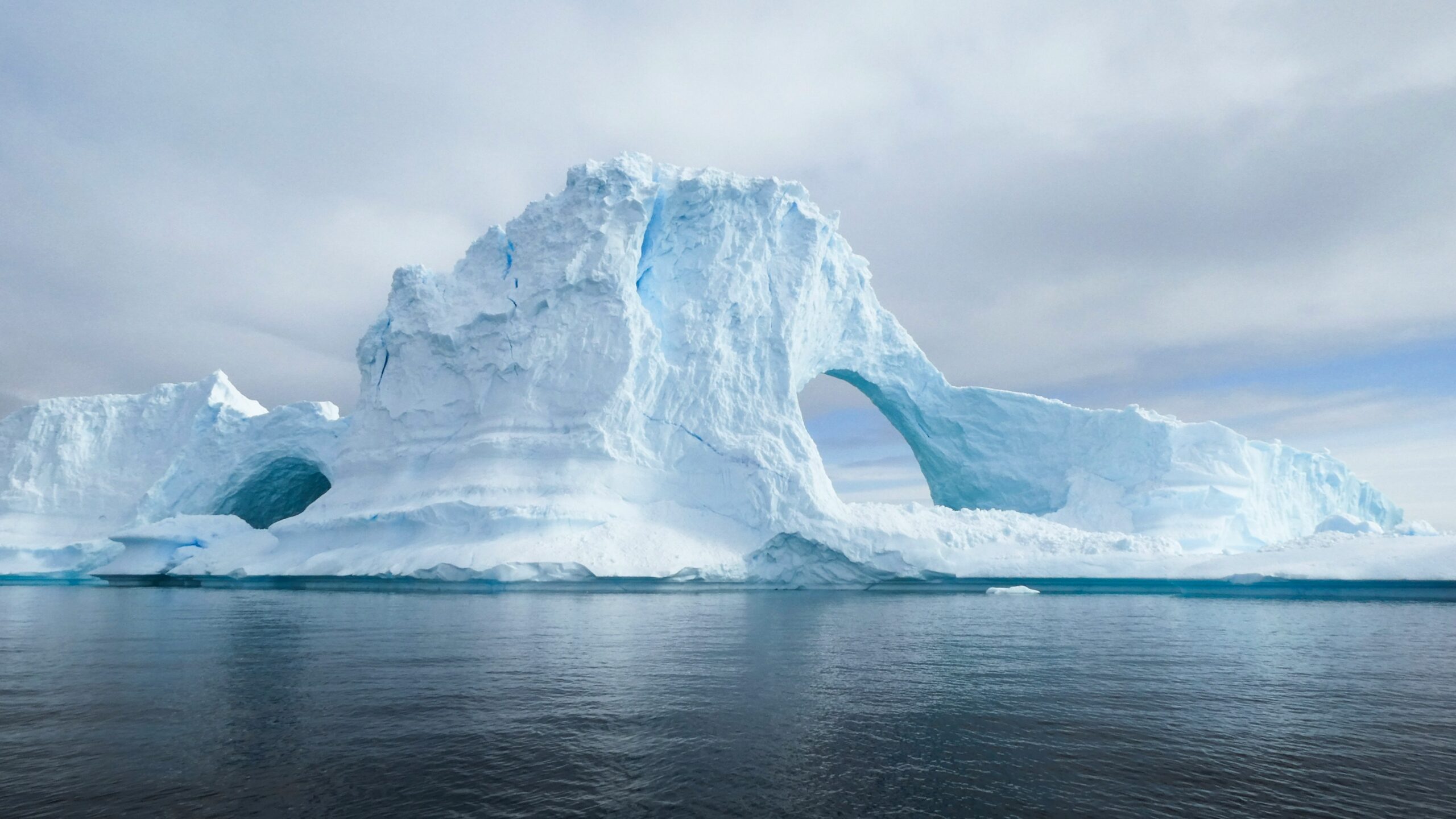 Majestic Antarctic icebergs with seals and penguins, offering a remote and unforgettable elopement setting for adventurous couples.